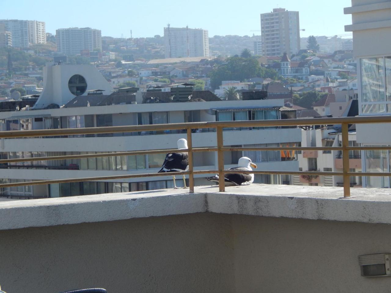 1201 Departamento Vs Centro Vina Apartment Vina del Mar Luaran gambar